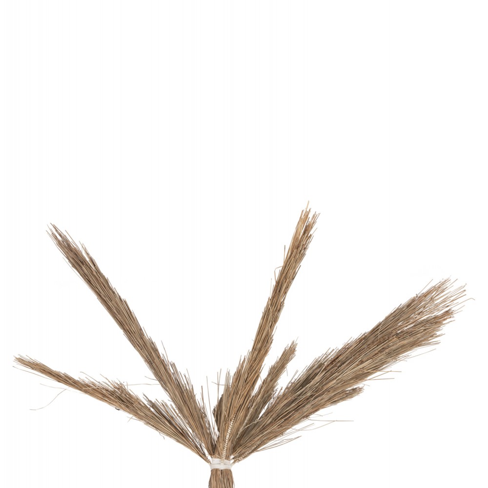 Διακοσμητικό δέντρο "TROPIC" σε χρώμα φυσικό 310