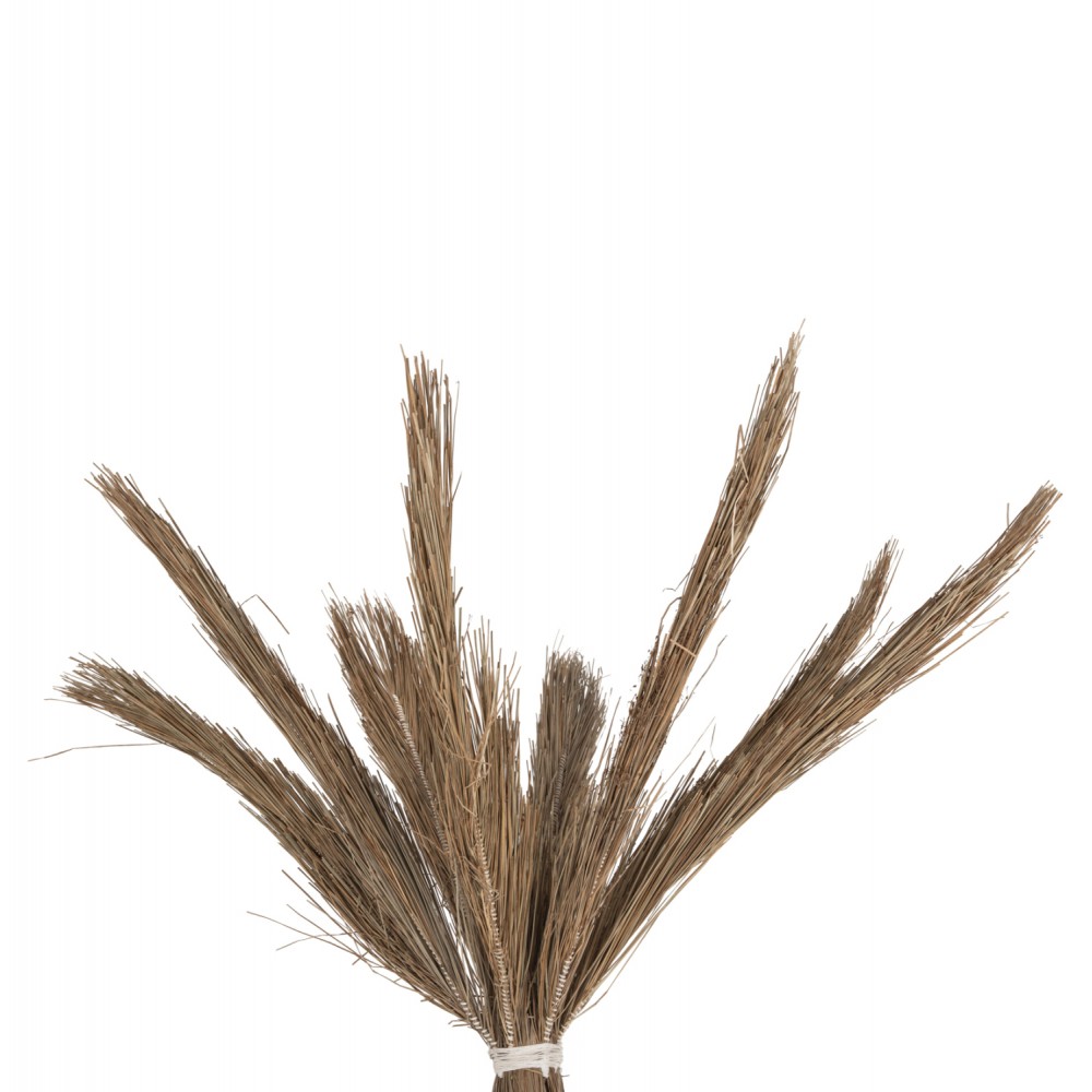 Διακοσμητικό δέντρο "TROPIC"  σε χρώμα φυσικό 280