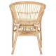 Πολυθρόνα ''DAMPAR'' από rattan σε χρώμα φυσικό 59x61x80