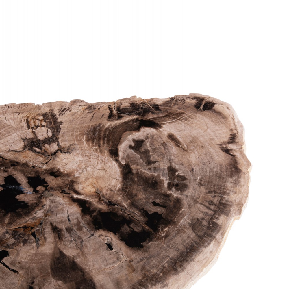 Βοηθητικό τραπέζι "SAMAN" από απολιθωμένο ξύλο/μέταλλο 70x55x40