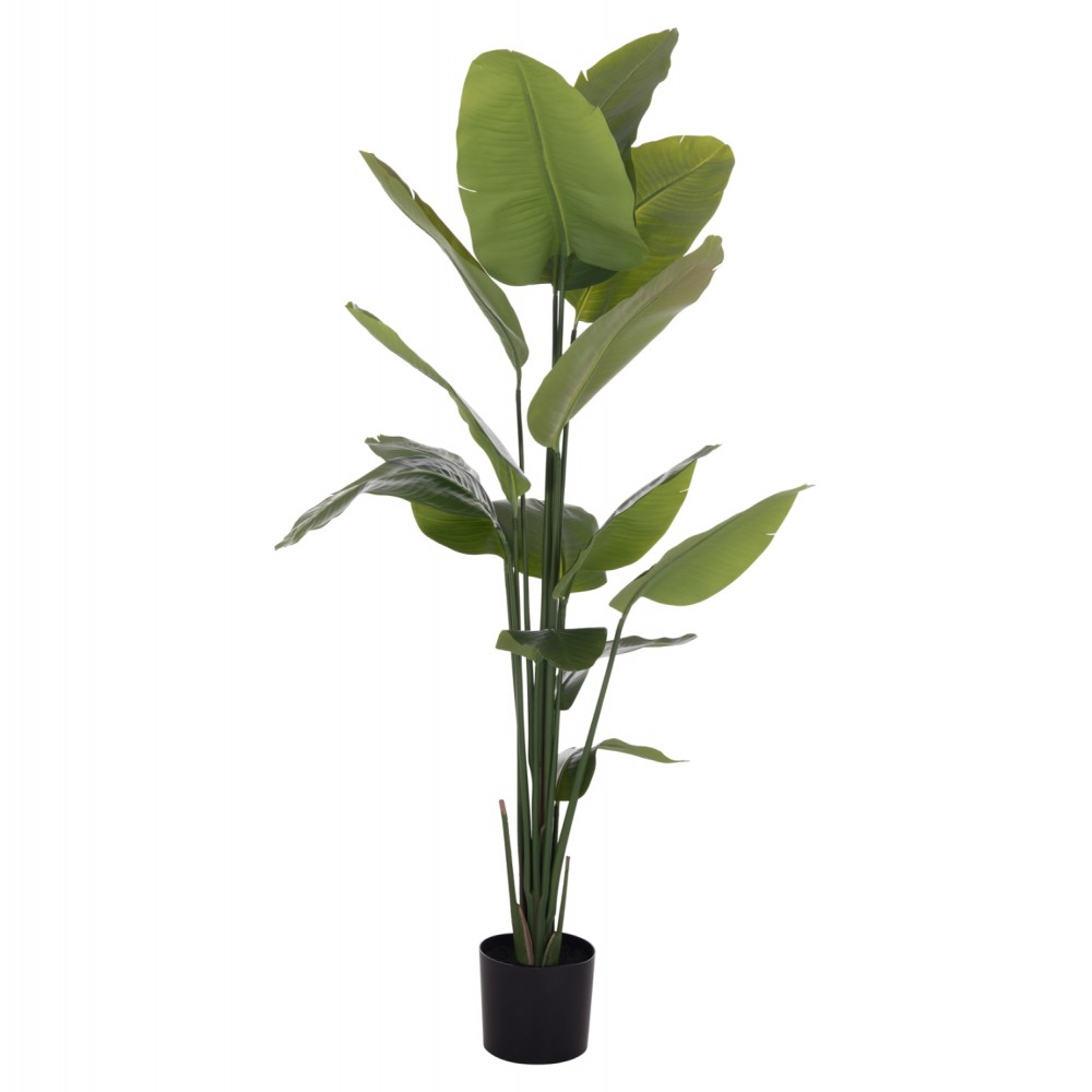 Διακοσμητικό συνθετικό φυτό στρελίτσια σε γλάστρα Φ18x172