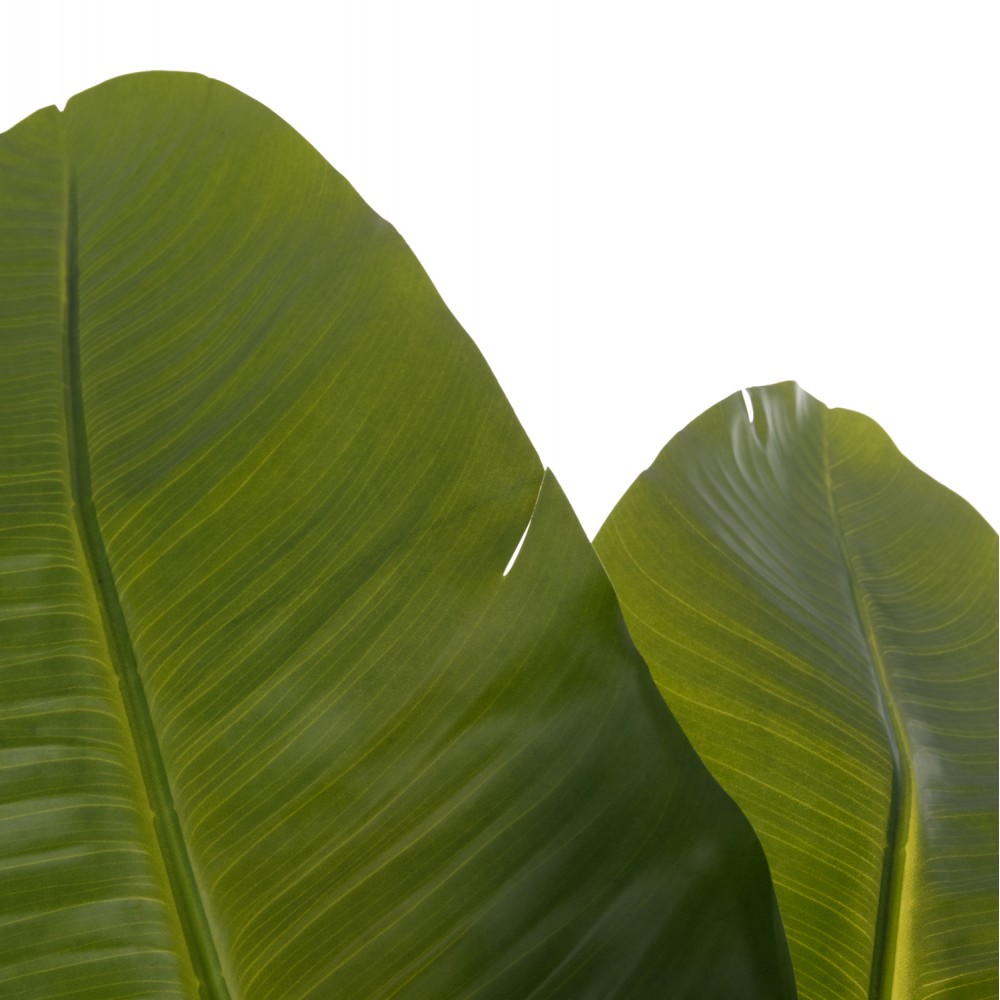 Διακοσμητικό συνθετικό φυτό στρελίτσια σε γλάστρα Φ18x172