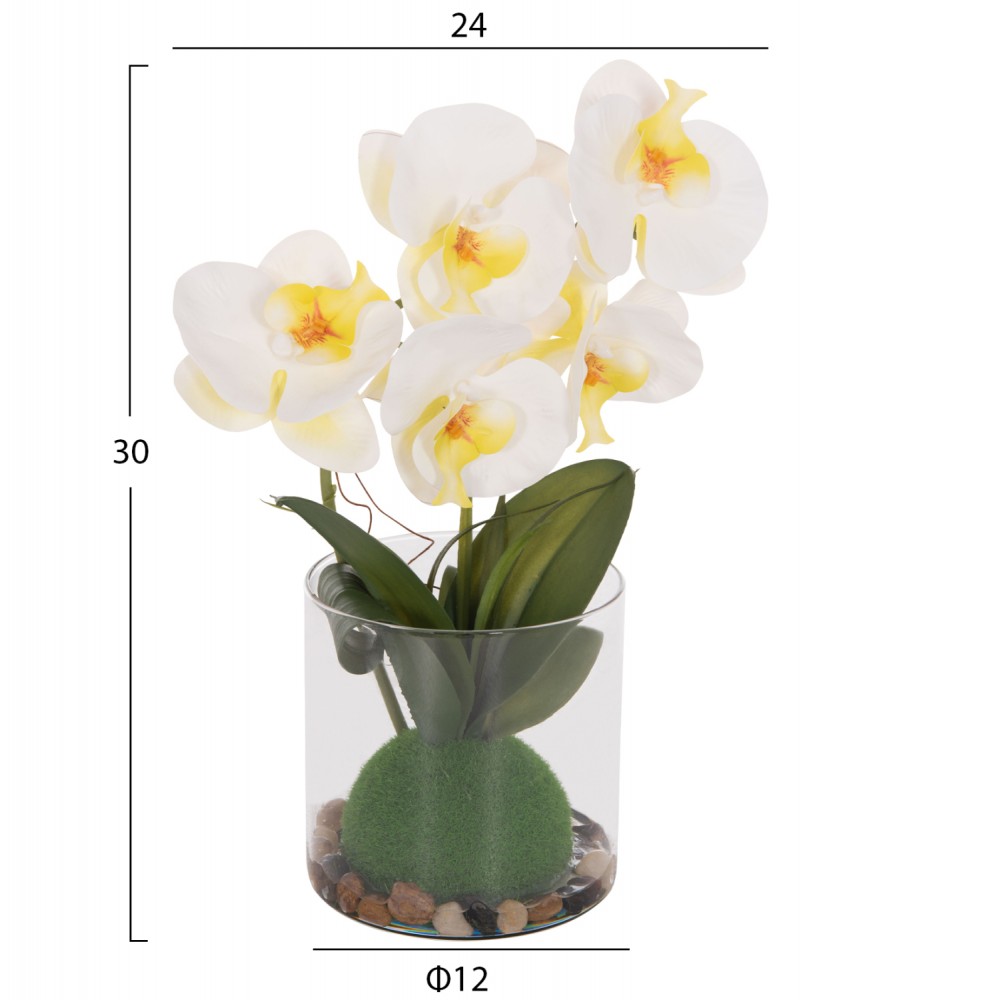 Διακοσμητικό λουλούδι phalaenopsis σε γυάλινο βάζο 12x24x30