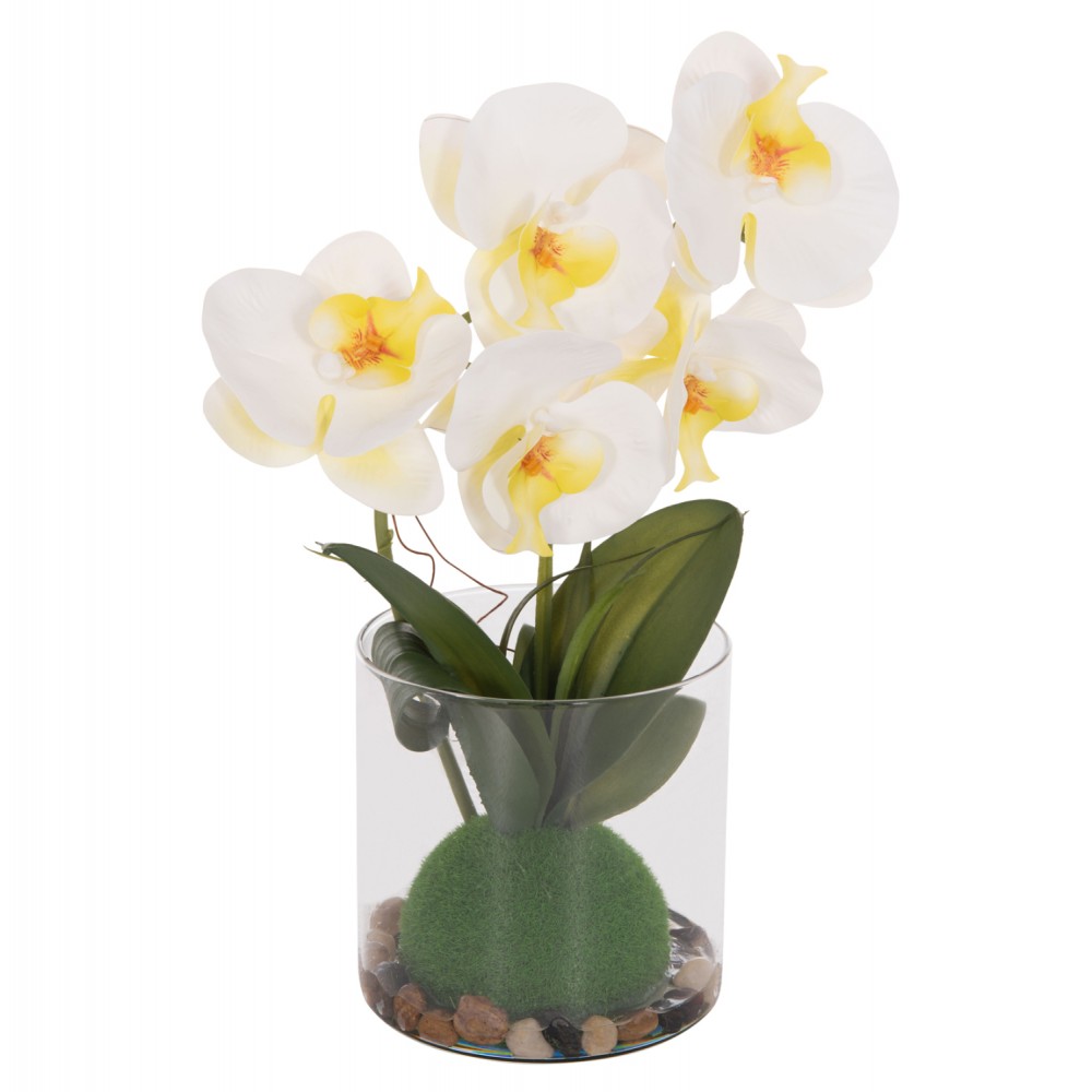 Διακοσμητικό λουλούδι phalaenopsis σε γυάλινο βάζο 12x24x30
