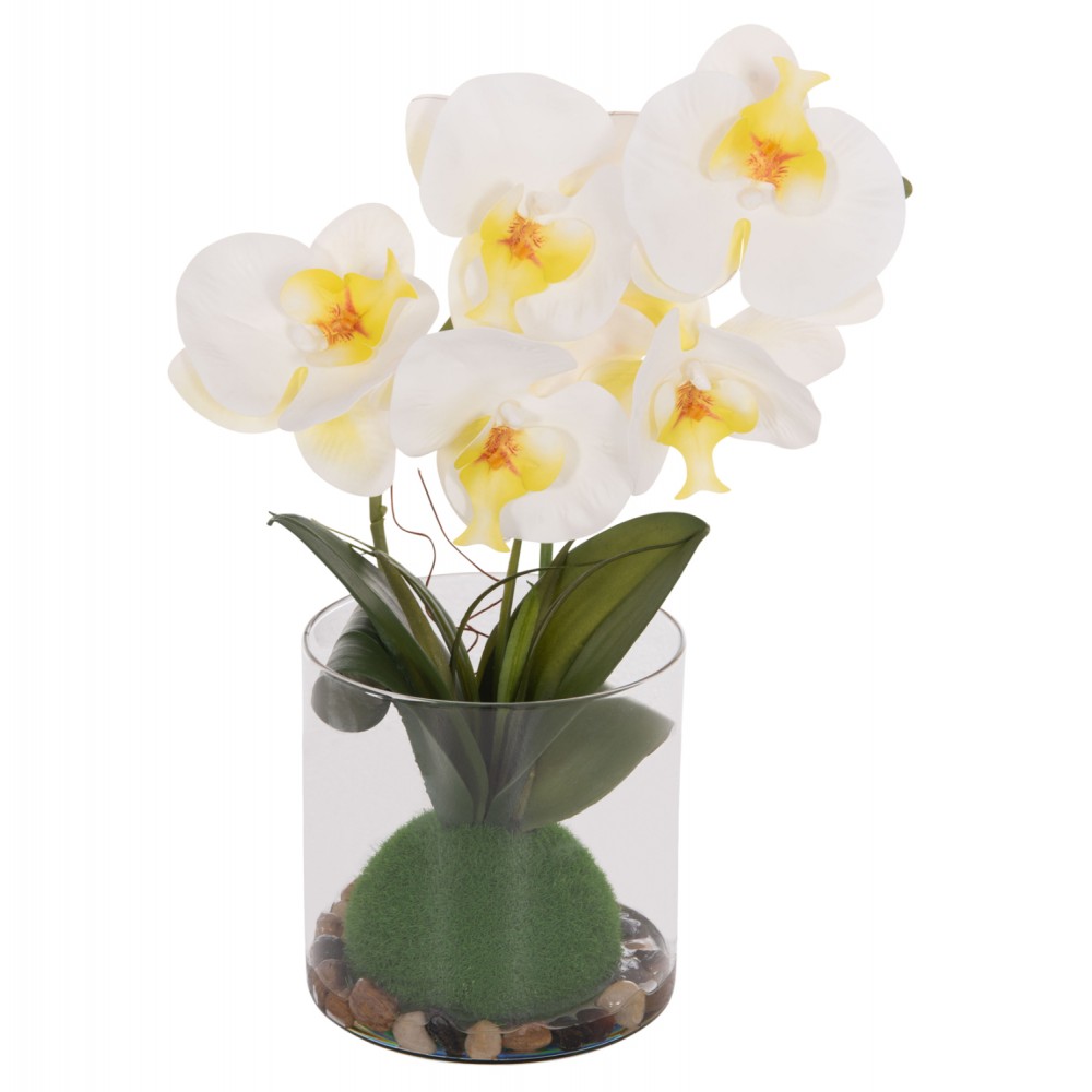 Διακοσμητικό λουλούδι phalaenopsis σε γυάλινο βάζο 12x24x30