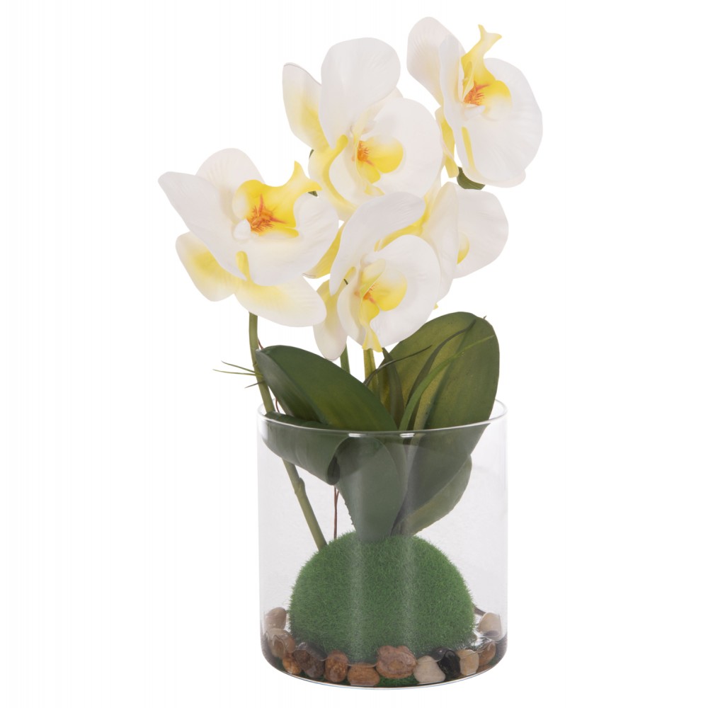 Διακοσμητικό λουλούδι phalaenopsis σε γυάλινο βάζο 12x24x30
