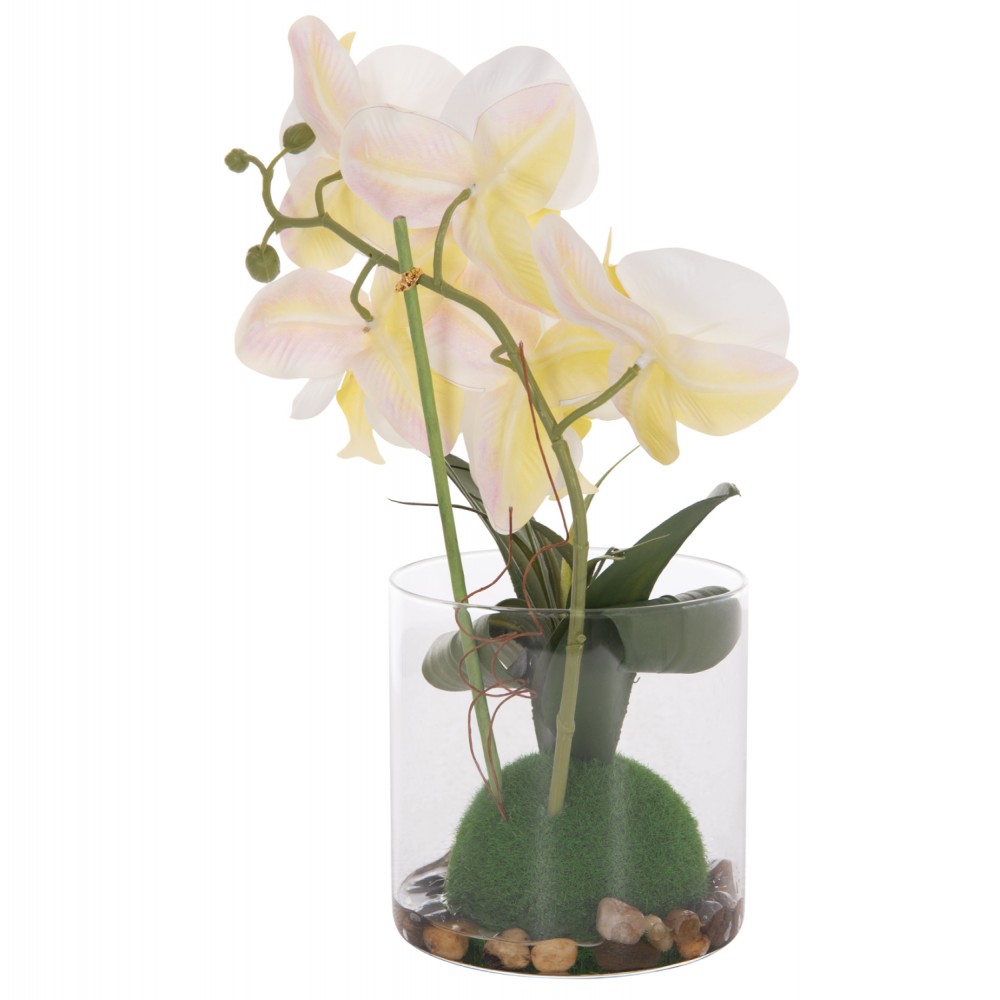 Διακοσμητικό λουλούδι phalaenopsis σε γυάλινο βάζο 12x24x30