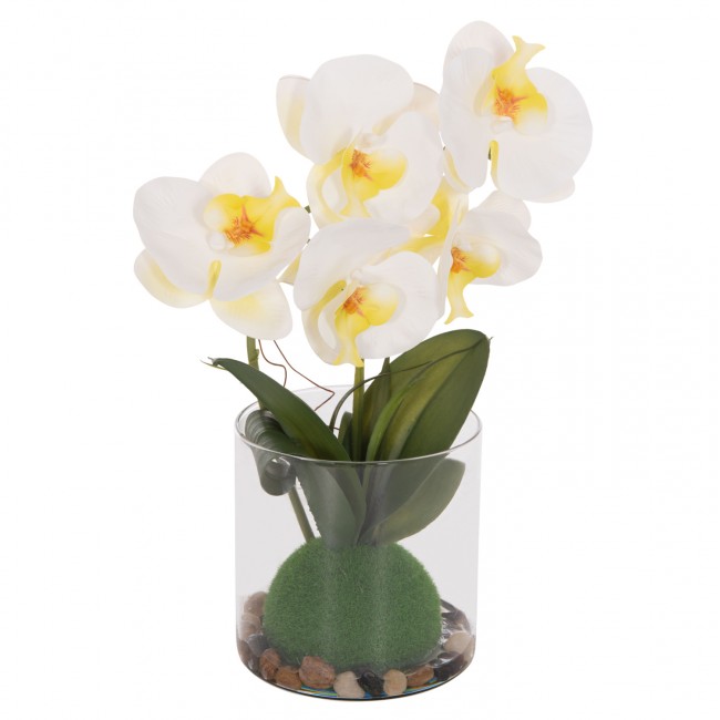 Διακοσμητικό λουλούδι phalaenopsis σε γυάλινο βάζο 12x24x30