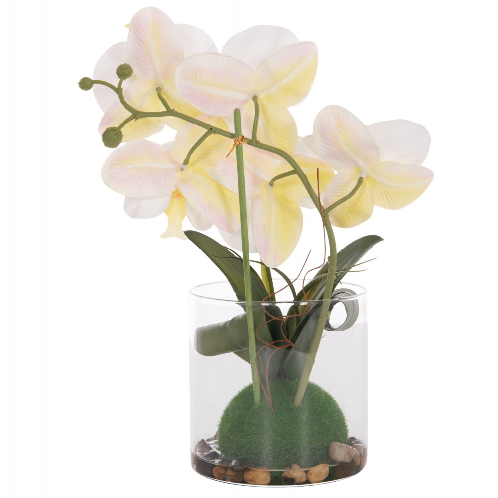 Διακοσμητικό λουλούδι phalaenopsis σε γυάλινο βάζο 12x24x30