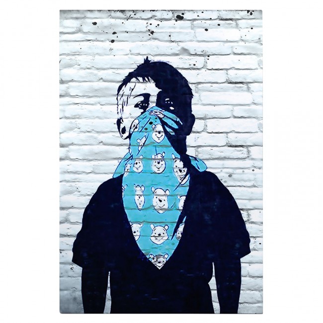 Πίνακας τοίχου "GOBI" σε εκτυπωμένο καμβά 50x3x70