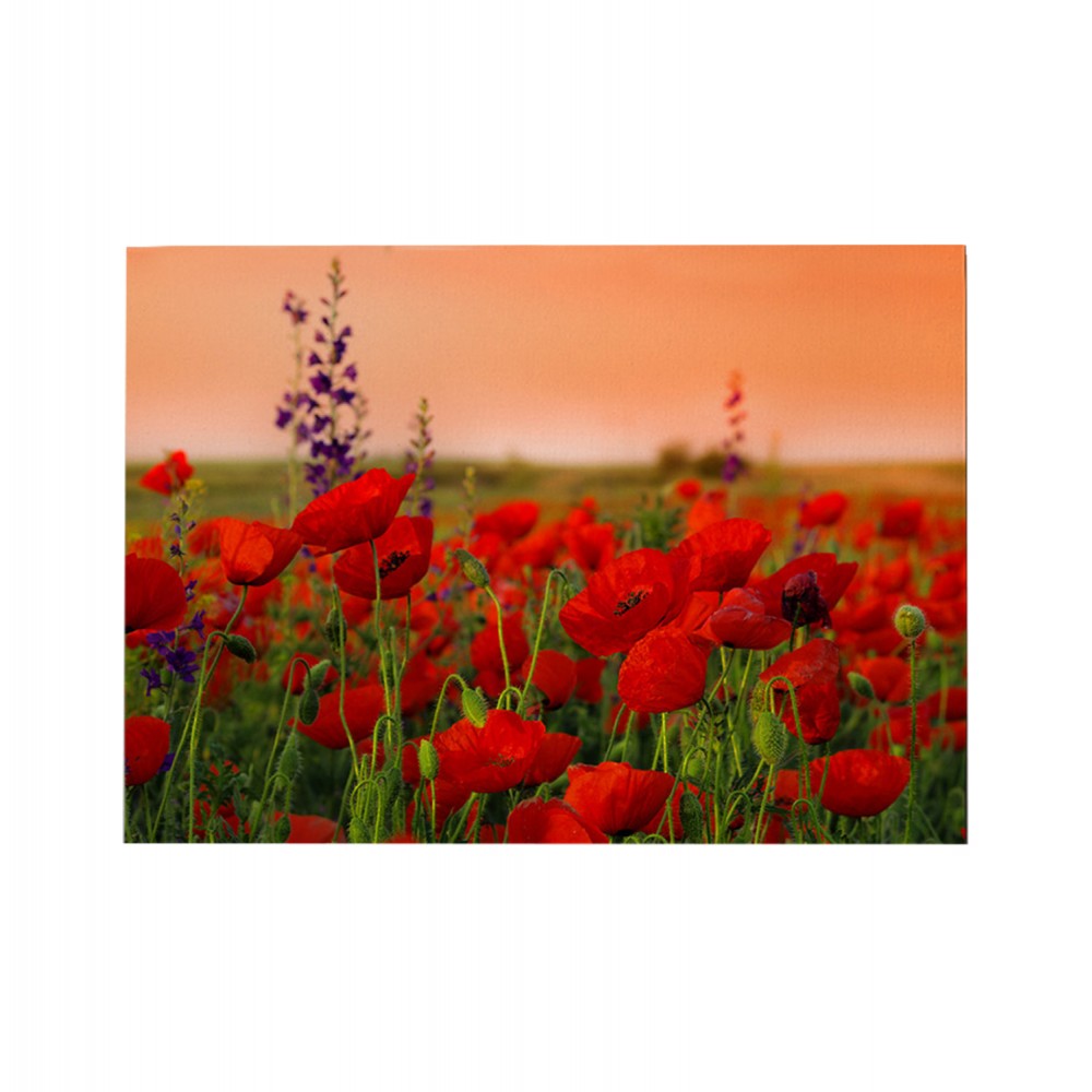 Πίνακας τοίχου "GOBI" σε εκτυπωμένο καμβά 70x3x50