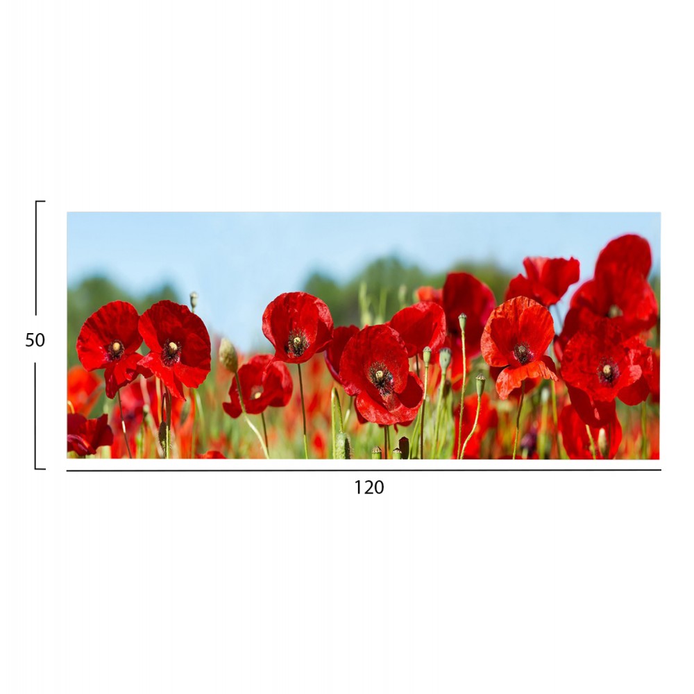 Πίνακας τοίχου "GOBI" σε εκτυπωμένο καμβά 120x3x50