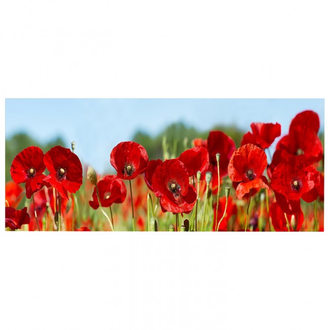 Πίνακας τοίχου "GOBI" σε εκτυπωμένο καμβά 120x3x50