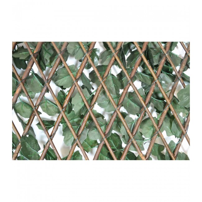 Αναρριχώμενος κισσός σε πράσινο χρώμα 100x200