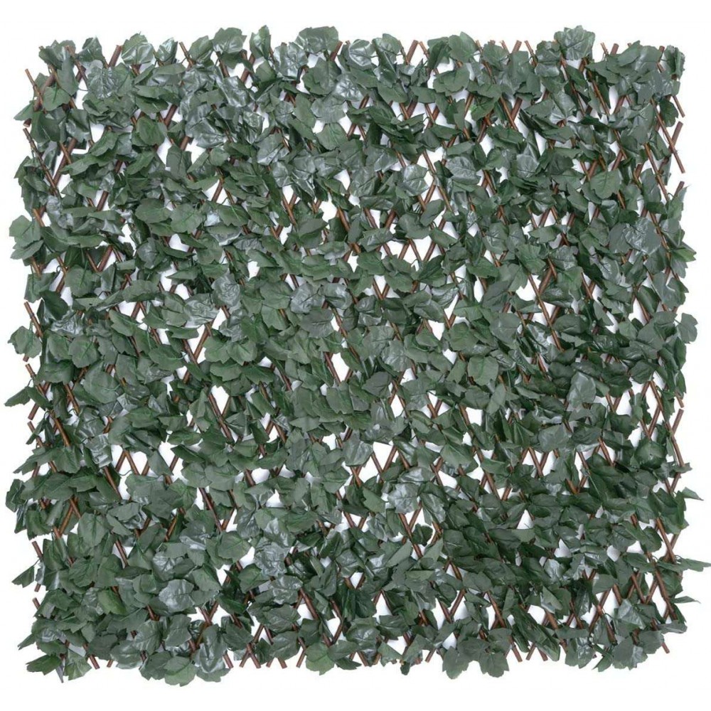 Αναρριχώμενος κισσός σε πράσινο χρώμα 100x200