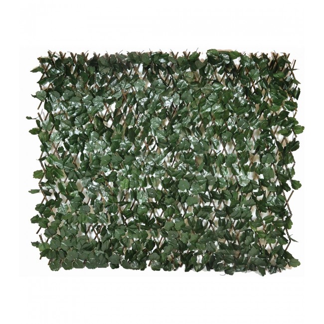 Αναρριχώμενος κισσός σε πράσινο χρώμα 1x2