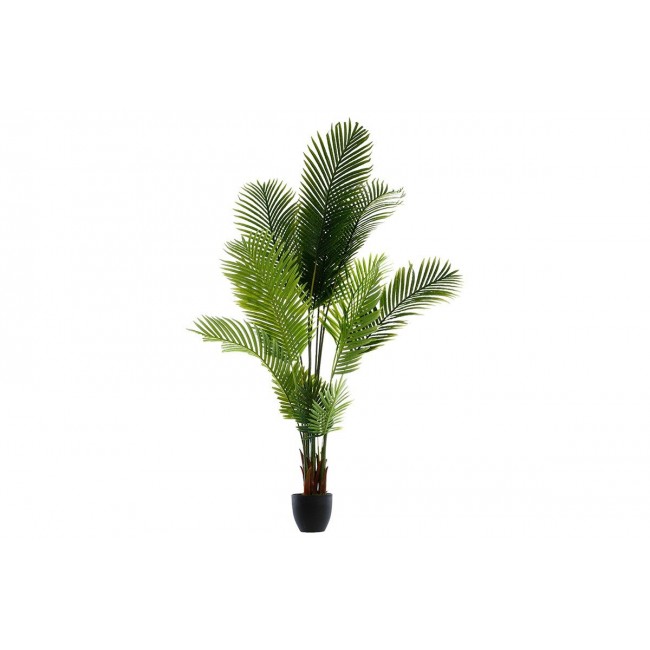 Φυτό σε γλάστρα ''GREEN9'' 114x105x180