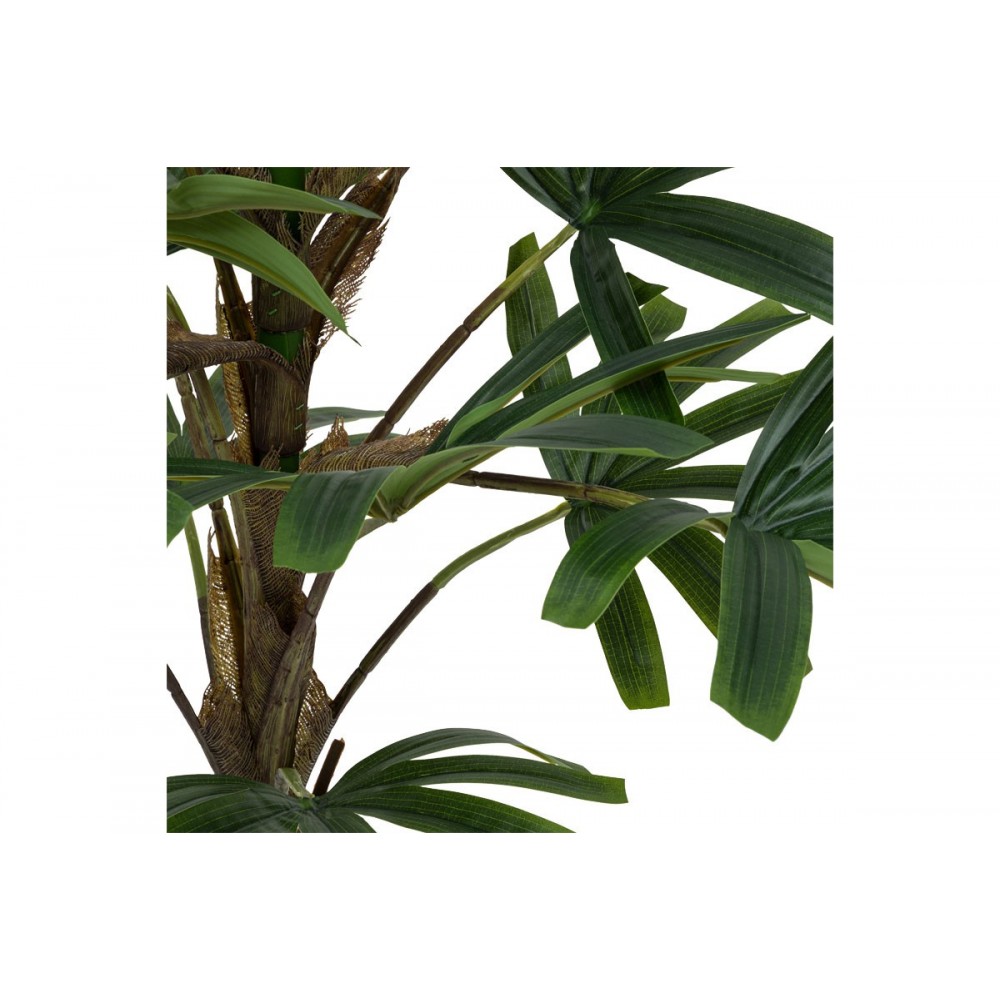 Φυτό σε γλάστρα "EMERIC" 15x13x120