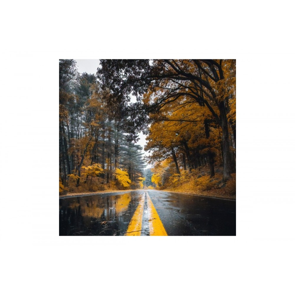 Πίνακας σε καμβά "SAVGONE" με ψηφιακή εκτύπωση 50x1.8x50