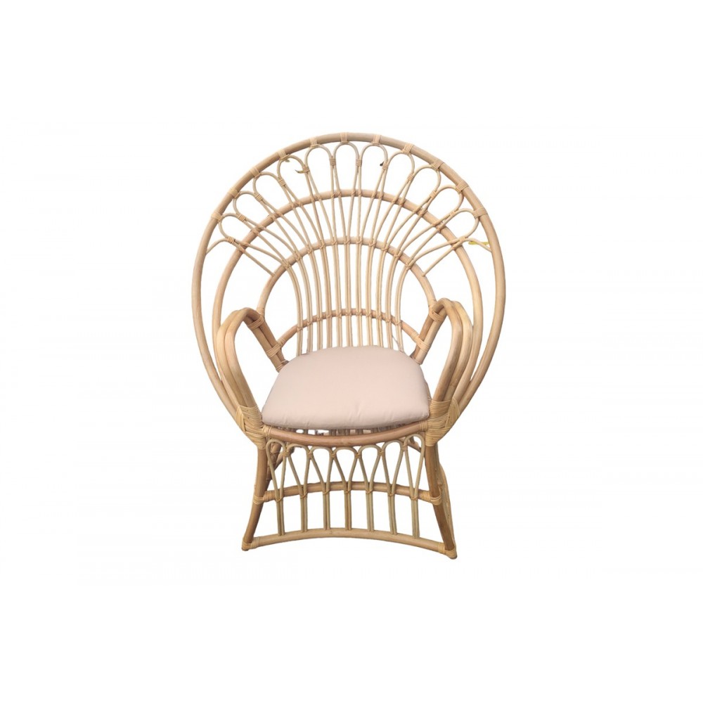 Πολυθρόνα "BOLONI" από rattan σε φυσικό/μπεζ χρώμα 100x67x120