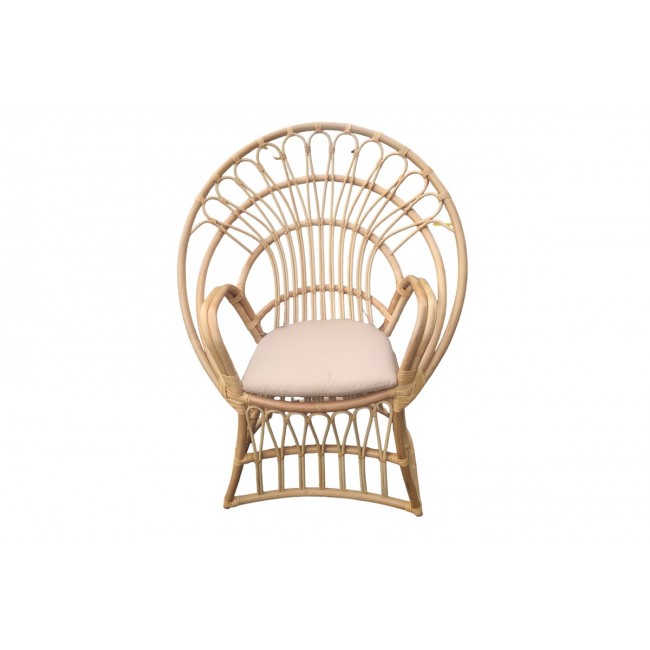 Πολυθρόνα "BOLONI" από rattan σε φυσικό/μπεζ χρώμα 100x67x120