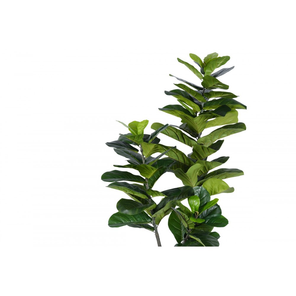 Διακοσμητικό φυτό "FIDDLEHEAD I" σε γλάστρα από pp σε πράσινο χρώμα Υ180