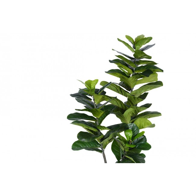 Διακοσμητικό φυτό "FIDDLEHEAD I" σε γλάστρα από pp σε πράσινο χρώμα Υ180