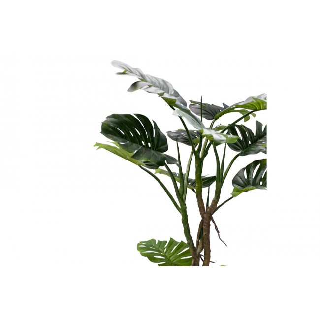 Διακοσμητικό φυτό "MONSTERA III" σε γλάστρα από pp σε πράσινο χρώμα Υ180