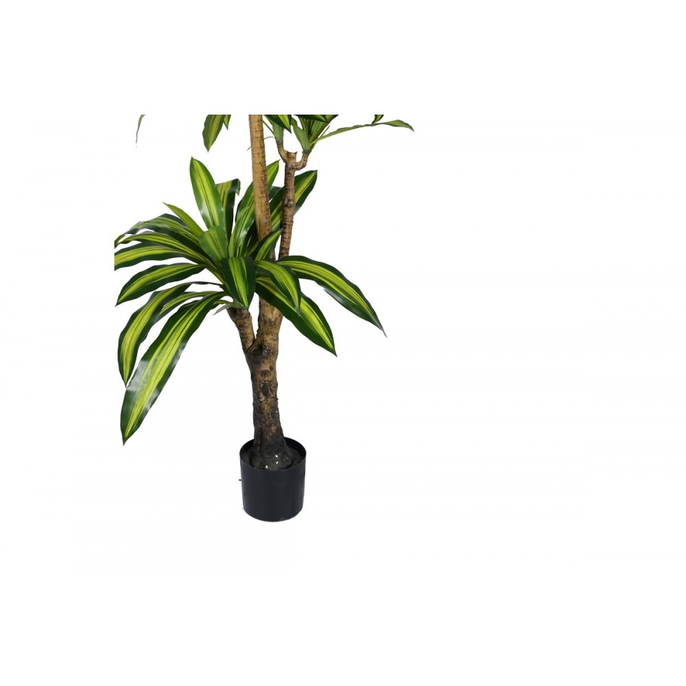 Διακοσμητικό φυτό "DRACAENA I" σε γλάστρα από pp σε πράσινο χρώμα Υ170