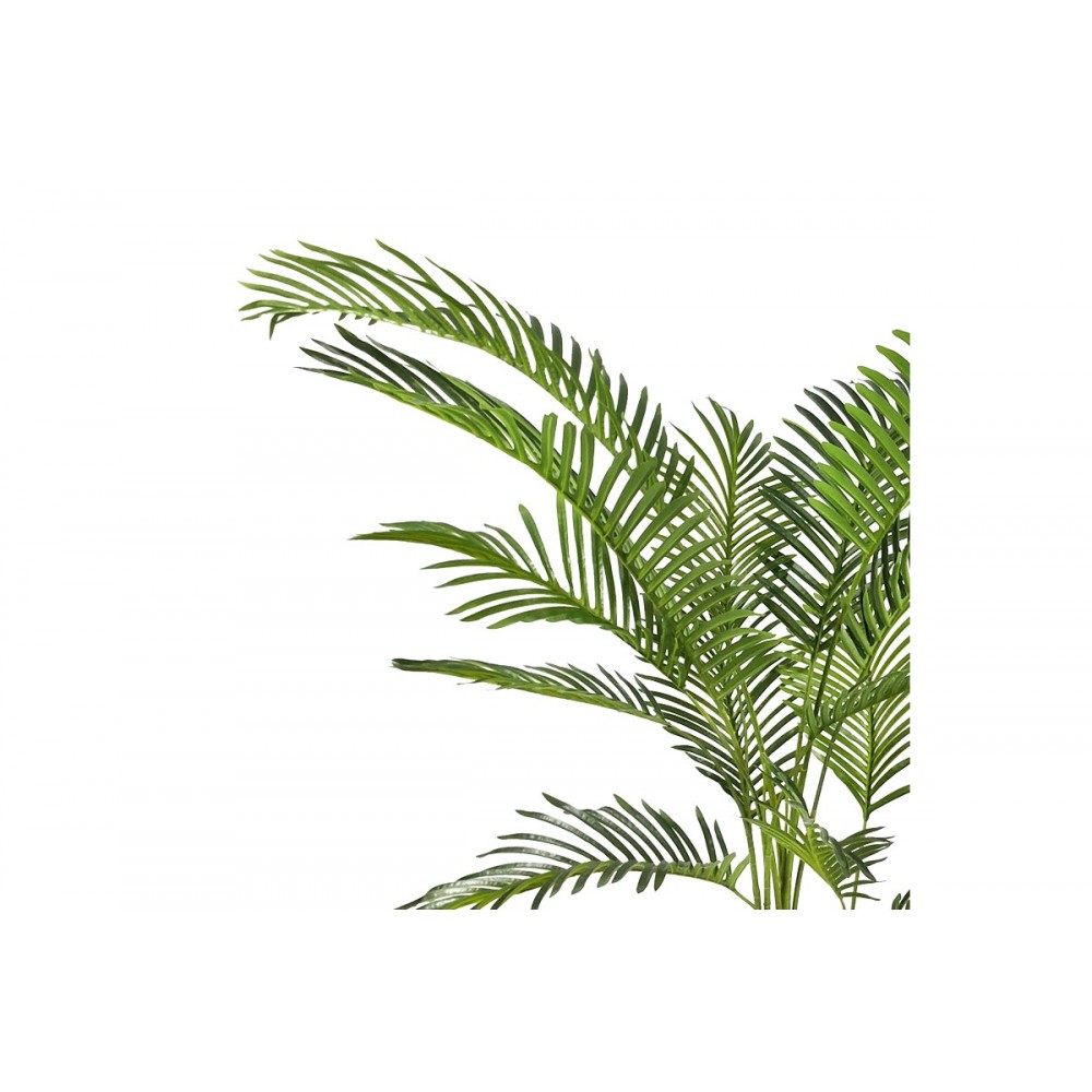 Διακοσμητικό φυτό "ARECA I" σε γλάστρα από pp σε πράσινο χρώμα Υ120