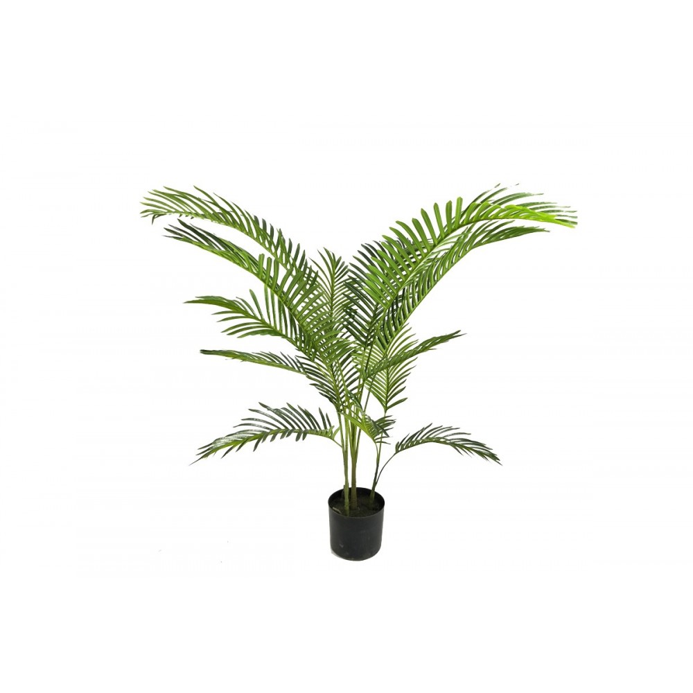 Διακοσμητικό φυτό "ARECA I" σε γλάστρα από pp σε πράσινο χρώμα Υ120