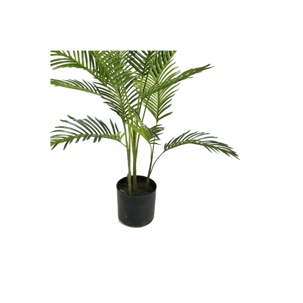 Διακοσμητικό φυτό "ARECA I" σε γλάστρα από pp σε πράσινο χρώμα Υ120
