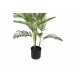 Διακοσμητικό φυτό "ARECA I" σε γλάστρα από pp σε πράσινο χρώμα Υ120