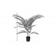 Διακοσμητικό φυτό "ARECA I" σε γλάστρα από pp σε πράσινο χρώμα Υ120
