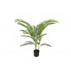 Διακοσμητικό φυτό "ARECA I" σε γλάστρα από pp σε πράσινο χρώμα Υ120