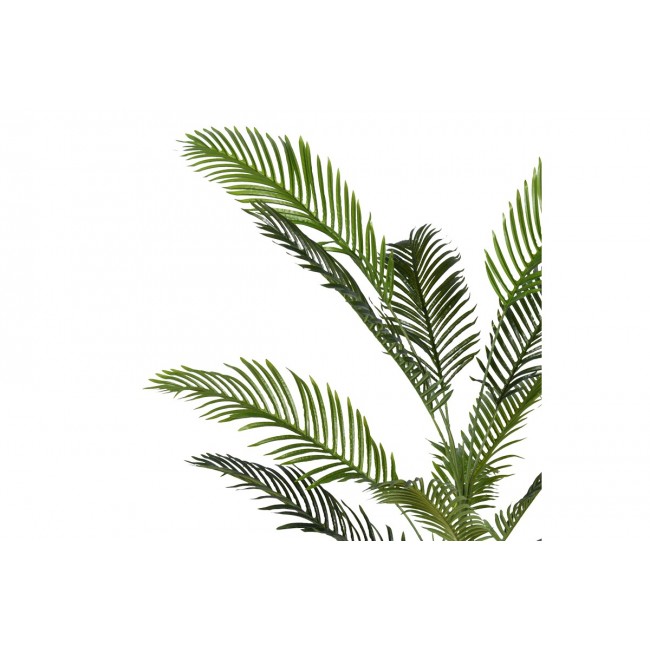 Διακοσμητικό φυτό "ARECA II" σε γλάστρα από pp σε πράσινο χρώμα Υ150