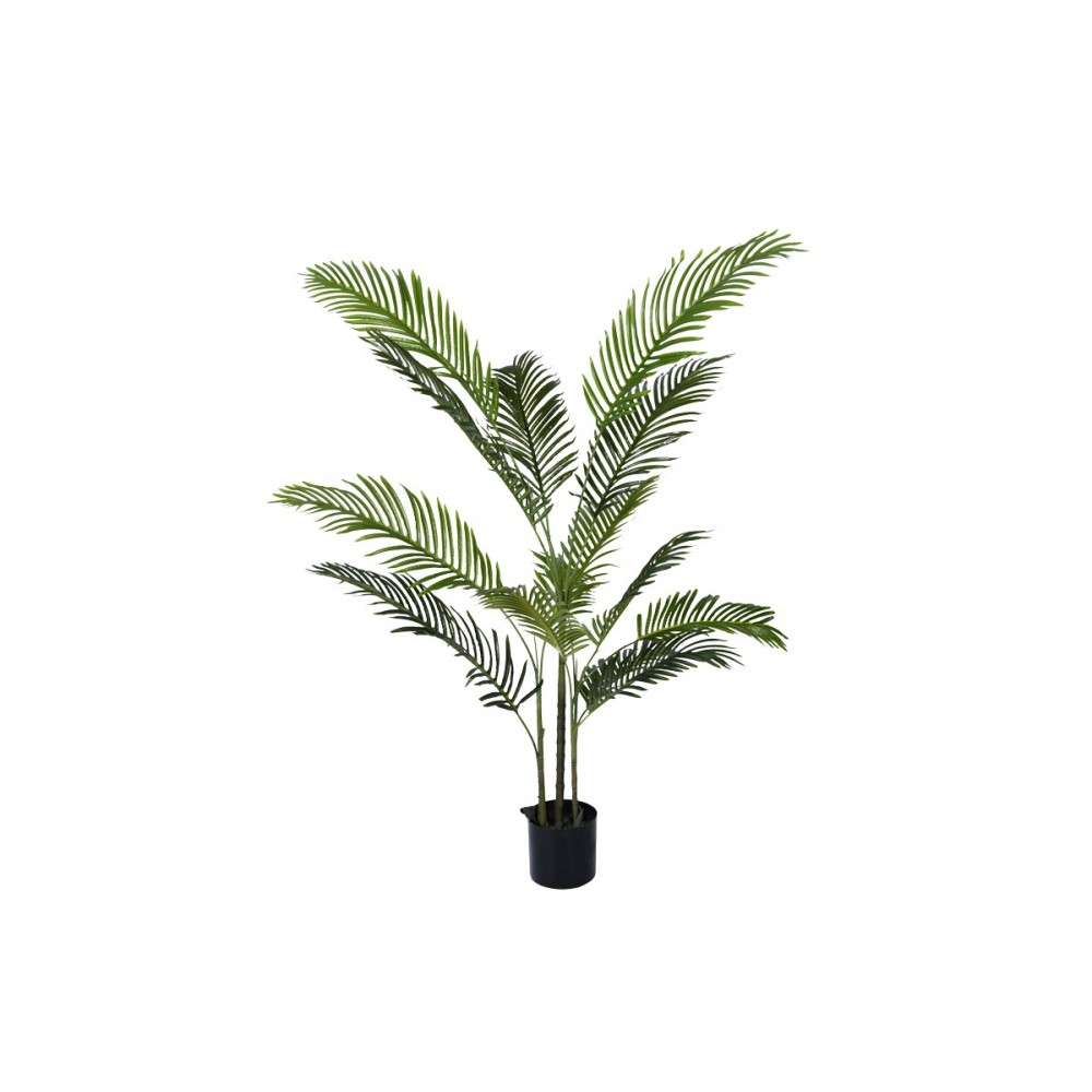 Διακοσμητικό φυτό "ARECA II" σε γλάστρα από pp σε πράσινο χρώμα Υ150