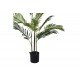 Διακοσμητικό φυτό "ARECA II" σε γλάστρα από pp σε πράσινο χρώμα Υ150