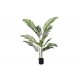 Διακοσμητικό φυτό "ARECA II" σε γλάστρα από pp σε πράσινο χρώμα Υ150