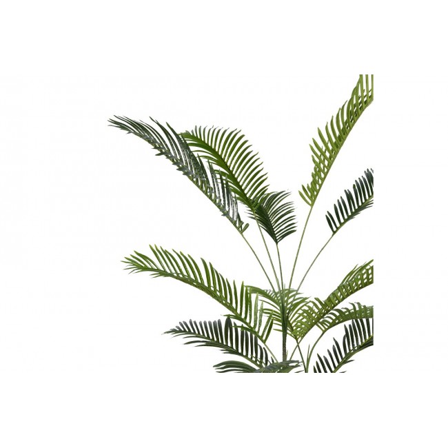 Διακοσμητικό φυτό "ARECA III" σε γλάστρα από pp σε πράσινο χρώμα Υ180