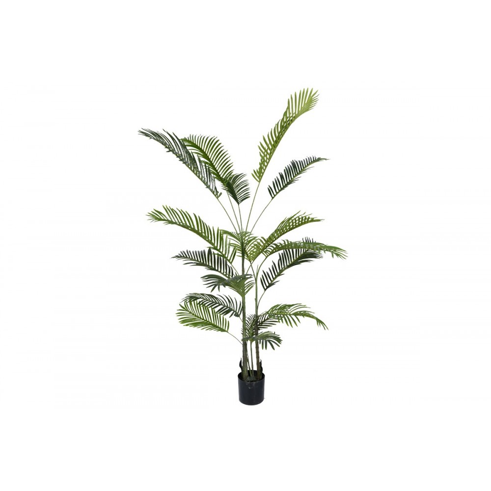 Διακοσμητικό φυτό "ARECA III" σε γλάστρα από pp σε πράσινο χρώμα Υ180