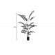 Διακοσμητικό φυτό "ARECA III" σε γλάστρα από pp σε πράσινο χρώμα Υ180