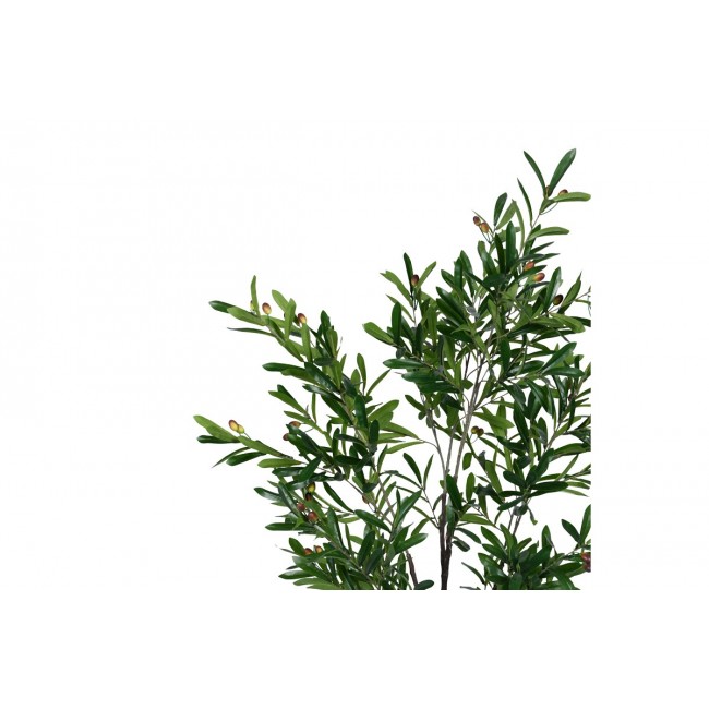 Διακοσμητικό φυτό "OLIVE TREE" σε γλάστρα από pp σε πράσινο χρώμα Υ150