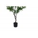 Διακοσμητικό φυτό "OLIVE TREE" σε γλάστρα από pp σε πράσινο χρώμα Υ150