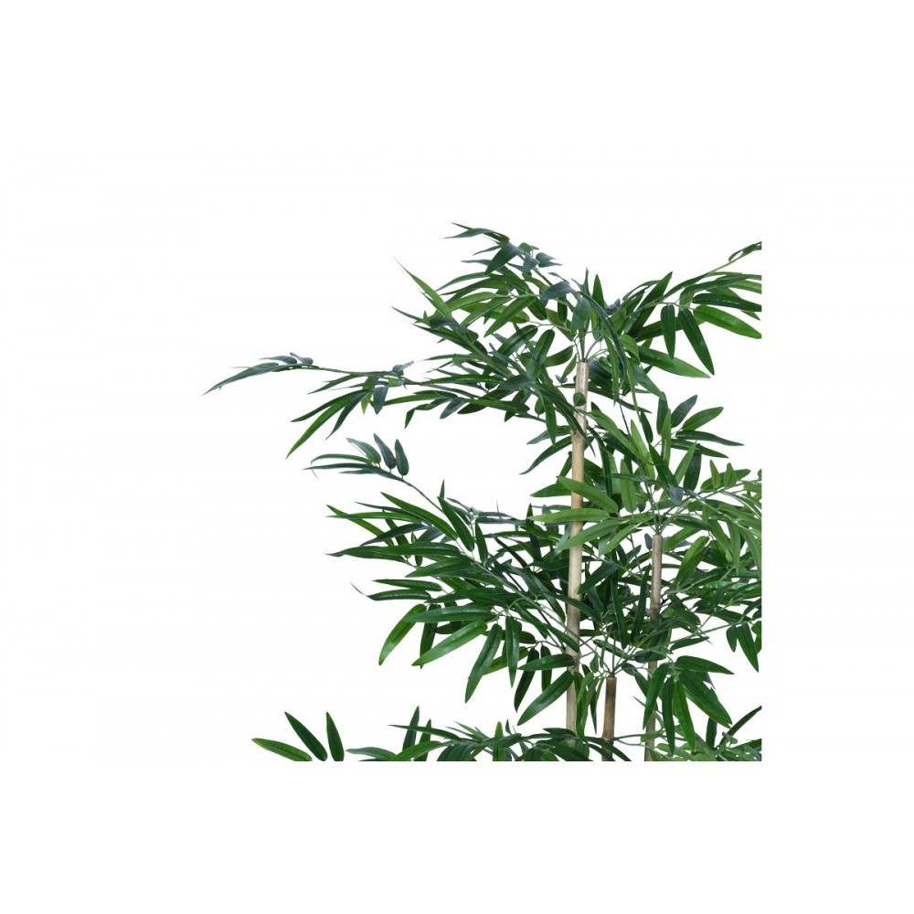 Διακοσμητικό φυτό "BAMBOO" σε γλάστρα από pp σε πράσινο χρώμα Υ130
