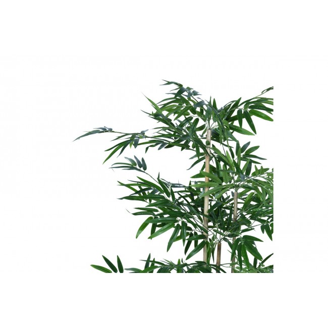 Διακοσμητικό φυτό "BAMBOO" σε γλάστρα από pp σε πράσινο χρώμα Υ130