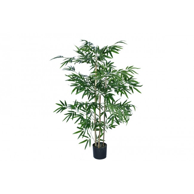 Διακοσμητικό φυτό "BAMBOO" σε γλάστρα από pp σε πράσινο χρώμα Υ130