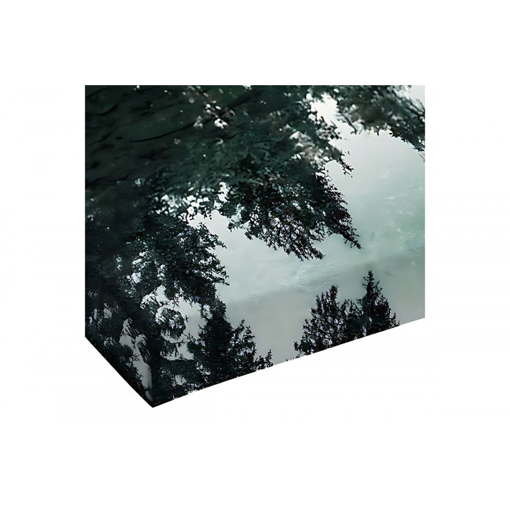 Πίνακας σε καμβά "SIELY" με ψηφιακή εκτύπωση 40x3x60