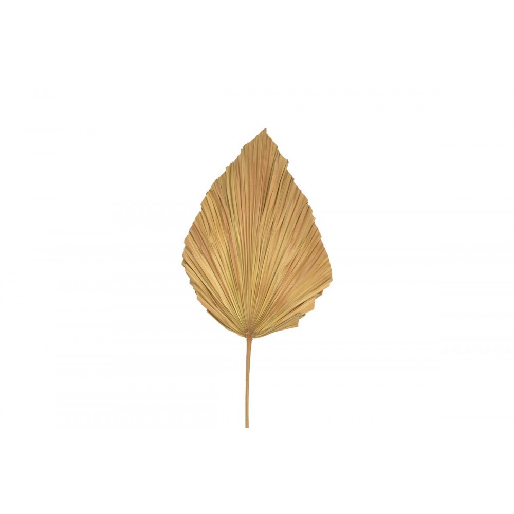 Διακοσμητικό φύλλο "WALSY" από palm leaf σε χρώμα φυσικό Υ135