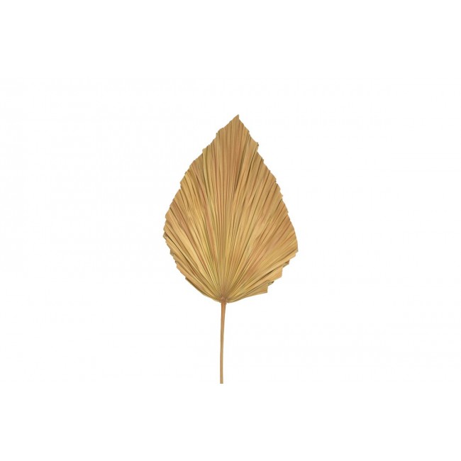 Διακοσμητικό φύλλο "WALSY" από palm leaf σε χρώμα φυσικό Υ135